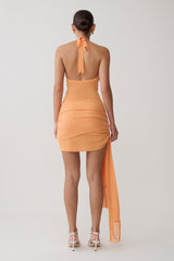 Lucien Cowl Neck Mini Dress - Apricot