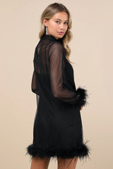 Immaculate Charisma White Mesh Feather Long Sleeve Mini Dress